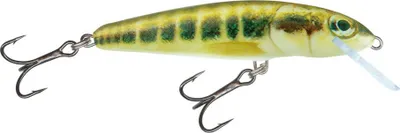 Produktbild von Salmo Minnow Sinking Minnow 7 cm 8 g Wobbler