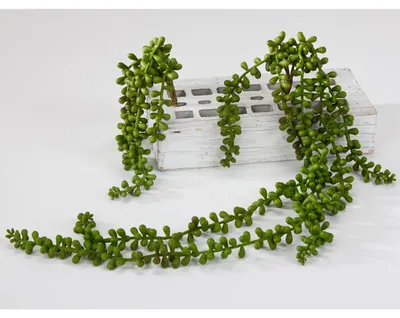 Immagine prodotto di Agave, pendente, verde, 65 cm, pianta artificiale Formano