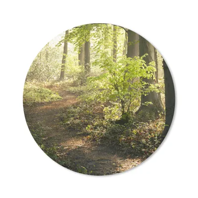 Produktbild von MuchoWow® Mauspad Mousepad Wald - Bäume - Weg - Sonne - Pflanzen - Laub - Natur 30x30 cm - Mousepads - Maus Mat - Pad - Mausunterlage - Tischunterlage - Schreibtischmatten