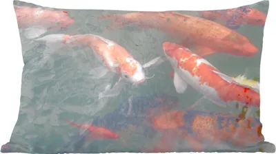 Produktbild von MuchoWow® Zierkissen Sofakissen Wohnzimmer Dekokissen 50x30 cm Mehrere Koi-Karpfen - Wohnzimmerdekoration - Polster mit Photo
