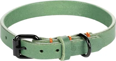 Produktbild von Flamingo Halsband Leano grün, Maße: 29 - 35 cm / 15 mm