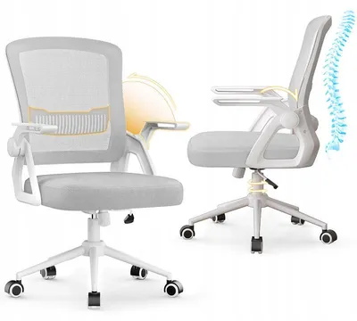 Obrázek produktu pro Ergonomická kancelářská židle X24F00K087, síťovaná, šedá