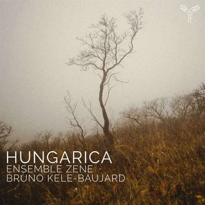 Immagine prodotto di Zoltan Kodaly (1882-1967): Musica d'insieme - Hungarica