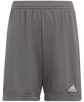 Imagen del producto de Pantalón corto Adidas Entrada 22 "Team Grey Four" para Niños
