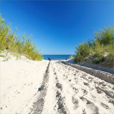 Produktbild von Wallario Möbeldesign -  Glasplatte, Schutzplatte mit Motiv - geeignet für Ikea Lack Tisch, Größe: 55 x 55 cm, Motiv: Auf dem Sandweg zum Strand - Blauer Himmel über dem Meer