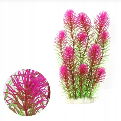 Produktbild von Aquarienpflanzen künstliche Aquarienpflanze 03