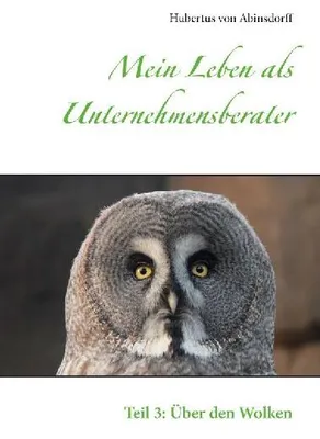 Produktbild von Mein Leben als Unternehmensberater