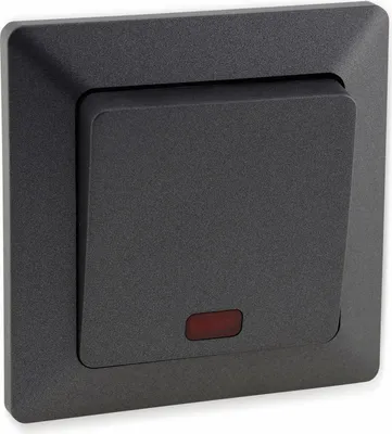 Image de MILOS interrupteur de contrôle avec éclairage, 230V