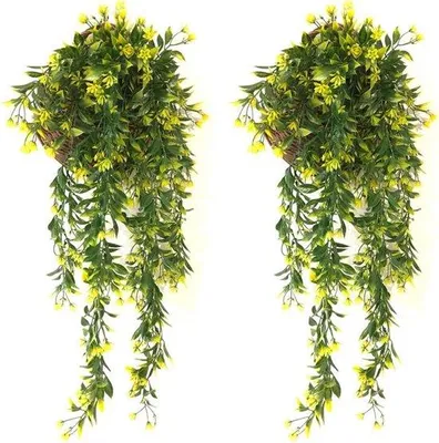 Produktbild von Blumenpflanzen-Set aus 2 - Gelbe Nepbäume für Innenräume - Ideal für Hochzeiten und Dekoration