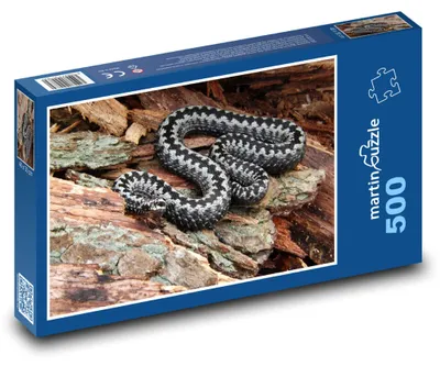Produktbild von Puzzle 500 Schlange im Naturreich - martinpuzzle