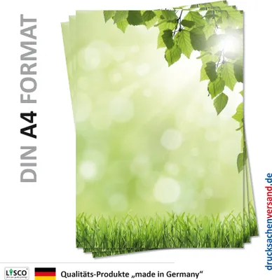 Produktbild von Motiv Briefpapier (Sommer-5092, DIN A4, 25 Blatt) Briefpapier grüne Wiese mit kräftig frischem Laub einer Birke im Vordergrund