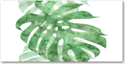 Produktbild von Tulup Glas-Bild -140x70- Wandkunst Dekorative Wand für Küche & Wohnzimmer - Blumen & Pflanzen - Monstera - Grün