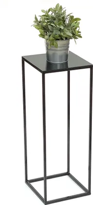 A potted plant sits on a black square-topped metal stand against a white background.