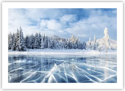 Produktbild von Poster - Poster ohne Rahmen - Wald Eis See - 70x50 cm - Wand Bild - Wanddeko - Wandbilder - Kunstposter - Wandposter - Bilder - Kunstdruck - Wanddekoration - Wandbild - P2XAA70x50-4181