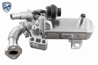 Produktbild von ACKOJA A38-63-0004 AGR-Ventil für NISSAN NP300 Navara Pickup (D40) Abgasrückführungsventil