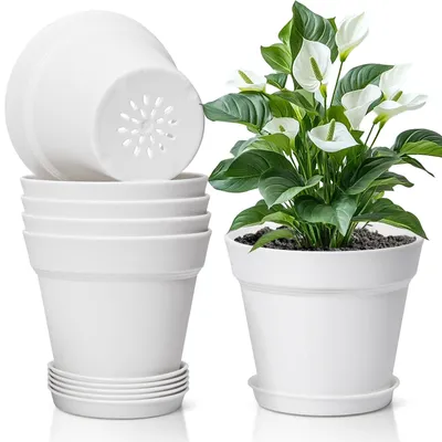 Obrázok produktu pre Omgoods – Súprava 6 plastových kvetináčov – 19 cm s podšálkou, vhodná pre izbové rastliny