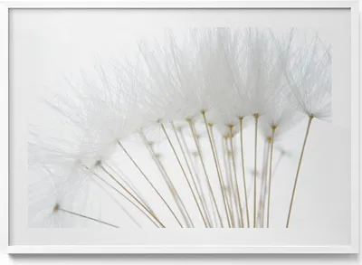 Produktbild von Weiße Gebläse– Wandbild mit Rahmen – Gerahmtes Bild  – Wanddekoration – 100x70 cm –  Weiß Rahmen