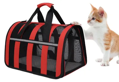 Faltbare Haustiertransporttas, 40x27x24 cm, rot, für kleine Hunde & Katzen