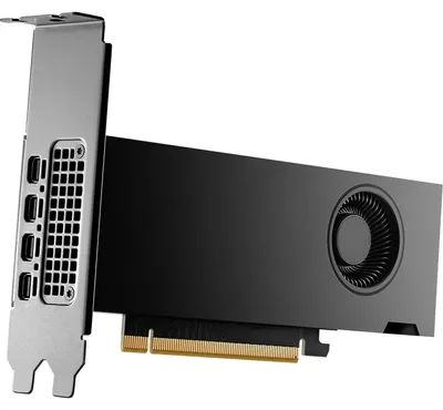 Image de PNY NVIDIA RTX 2000 Ada Generation - Carte graphique - NVIDIA RTX 2000 Ada - 16 Go GDDR6 - PCIe 4.0 x8 - 4 x Mini DisplayPort (VCNRTX2000ADA-SB)