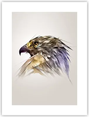 Produktbild von Poster - Poster ohne Rahmen - Adler Vogel Feder - 30x40 cm - Wand Bild - Wanddeko - Wandbilder - Kunstposter - Wandposter - Bilder - Kunstdruck - Wanddekoration - Wandbild - P2XPA30x40-3936