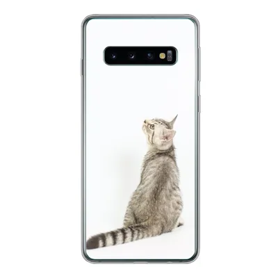 Produktbild von MuchoWow® Handyhülle Schutzhülle Hülle für Samsung Galaxy S10 Katze - Haustiere - Fell Silikon Softcase Handy Hülle - Handytasche