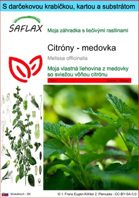 Obrázok produktu pre SAFLAX Darčeková sada - Citróny - medovka - Melissa officinalis - 150 Semená - S darčekovou krabičkou, prepravným štítkom, darčekovou kartou a pestovateľským médiom