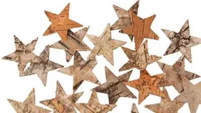 72 Birkensterne, 3-4 cm, Naturprodukt, Deko