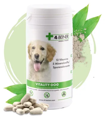 Imagen del producto de 4-BEINER VITALITY: Alimento para perros
