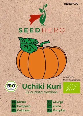 Produktbild von Seedhero Kürbis Uchiki Kuri Samen
