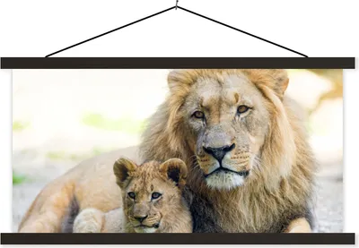 Produktbild von MuchoWow® Textilposter Löwe - Jungtier - Porträt 60x30 cm mit schwarzem Rahmen - Textilien