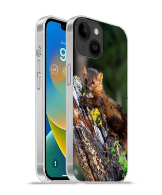 Produktbild von MuchoWow® Handyhülle Schutzhülle Hülle für Apple iPhone 14 - Softcase Marder - Baum - Wald Silikon Softcase Handy Hülle - Mobiltelefonhülle