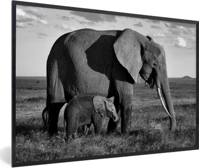 Produktbild von MuchoWow® Gerahmtes Poster Mutter und Baby Elefant durch die Savanne - schwarz und weiß 60x40 cm - Poster mit Schwarzem Bilderrahmen Wandposter Rahmen Foto Bilder - Printing - Wanddeko Schlafzimmer