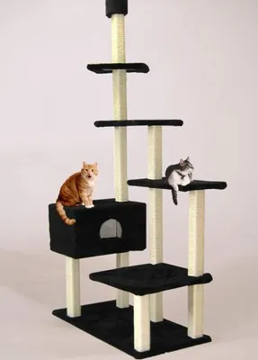 Produktbild von Cat Dream Kratzstamm Big House raumhoch schwarz, 120 x 75 cm