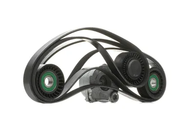 Produktbild von DAYCO KPV444 Keilrippenriemensatz für AUDI A4 Avant (8K5, B8)