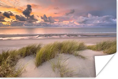 Produktbild von MuchoWow® Poster Sonnenuntergang - Düne - Strand - Pflanzen - Meer 90x60 cm - Schlafzimmer