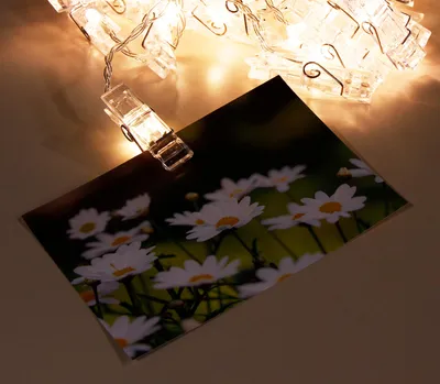 Produktbild von LED Lichterkette mit 50 Clips Wäscheklammern Fotoclip warmweiß