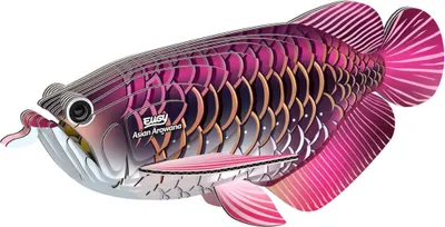 Produktbild von Eugy 3D-Puzzle Drachenfisch Karton umweltfreundliches Spielzeug