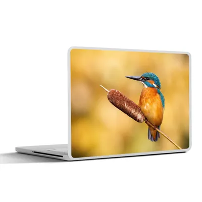 Produktbild von MuchoWow® Laptop Aufkleber Sticker Cover Eisvogel - Natur - Vogel 25x18 cm - Laptop-Deko