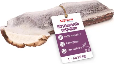 Produktbild von Supravit Gespaltenes Hirschgeweih L | 100% Rothirsch-Geweih für Hunde | Natürlicher Kauknochen | Nachhaltige Zahnpflege & Beschäftigung