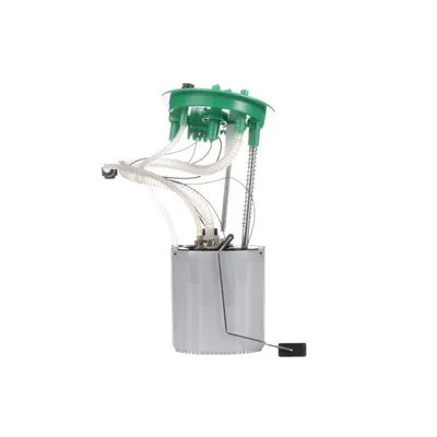 Produktbild von DELPHI Benzinpumpe FG0977-12B1 für AUDI A4 Avant (8ED, B7)