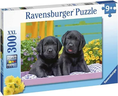Productafbeelding van Ravensburger 12950, 300 stukken, vanaf 9 jaar