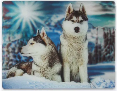 Produktbild von 3D Magnet Huskys