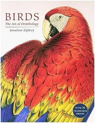 Obrázok produktu pre Birds