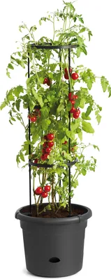 Produktbild von EDUPLAY 110470 Tomatentopf, schwarz
