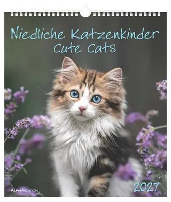 Obrázek produktu pro Neumann Wandkalender 2027 Niedliche Katzenkinder, ca. 30x34 cm, mehrsprachig