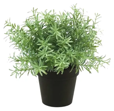 Produktbild von Smaragd Kunstliche Pflanze Rosmarin - im Terrakotta-Topf - 22 cm - Krauter