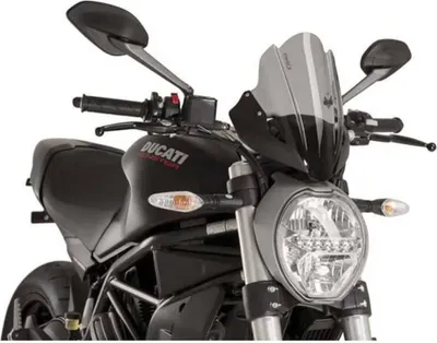 Obrázok produktu pre Tmavo zadymená športová clona PUIG 290x180mm pre Ducati