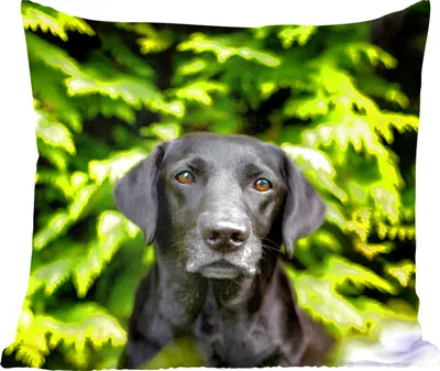 Produktbild von MuchoWow® Zierkissen Sofakissen Wohnzimmer Dekokissen 60x60 cm Ein schwarzer Labrador Retriever inmitten der grünen Blätter - Sitzfläche - Foto Polster