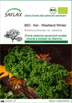 Obrázok produktu pre SAFLAX - BIO - Kel - Westland Winter - Brassica oleracea var. sabellica - 70 Semená
