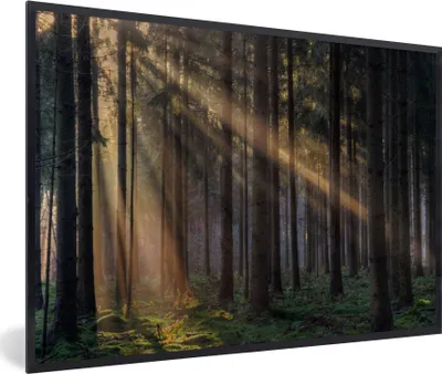 Produktbild von MuchoWow® Gerahmtes Poster Bäume - Wald - Sonne - Pflanzen 90x60 cm - Poster mit Schwarzem Bilderrahmen Wandposter Rahmen Foto Bilder - Fotorahmen - Foto-Plakat